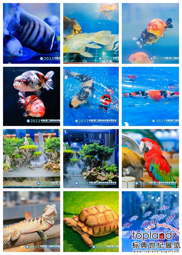 廈門國際漁業(yè)展